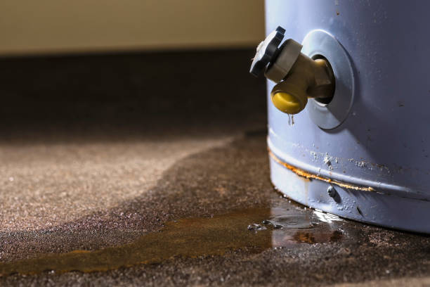 Best Flooded house restoration  in Sundance, WY