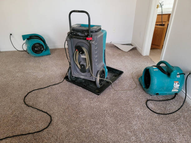 Best Water damage contractors near me  in Sundance, WY