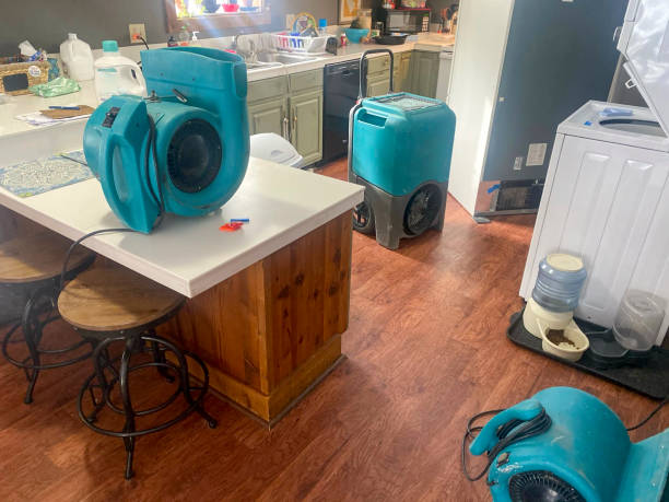 Best Water damage restoration near me  in Sundance, WY