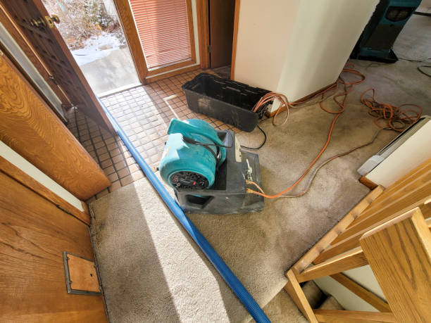 Best Water damage restoration cost  in Sundance, WY