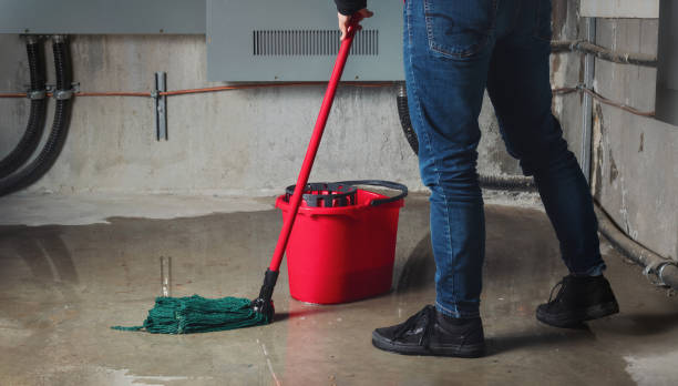 Best Flood restoration services  in Sundance, WY