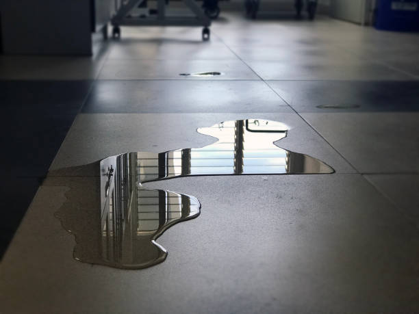 Best Emergency water damage restoration  in Sundance, WY