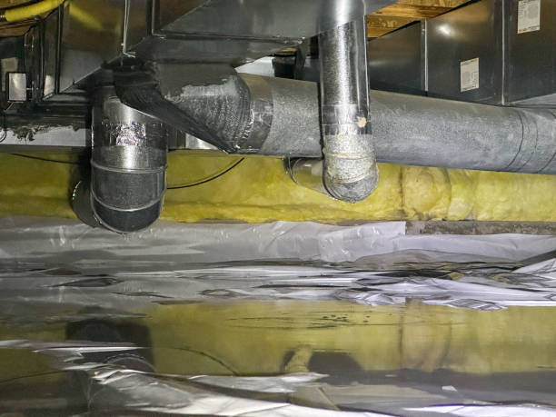 Best Sewage cleanup and water damage restoration  in Sundance, WY