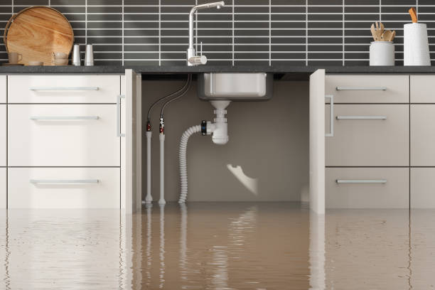 Best Basement water damage restoration  in Sundance, WY