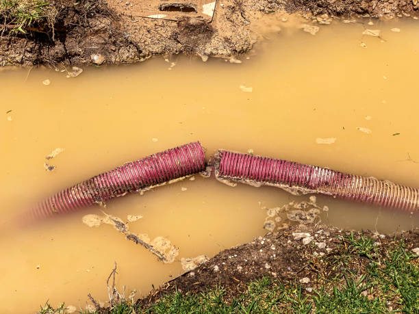 Best Professional water damage repair  in Sundance, WY