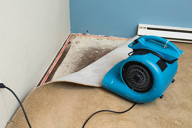 Best Flood damage cleanup  in Sundance, WY